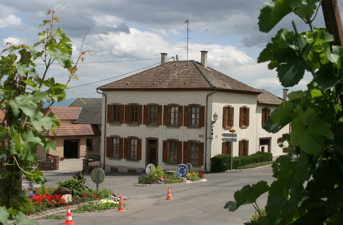 Humbrecht-Trapp vingård