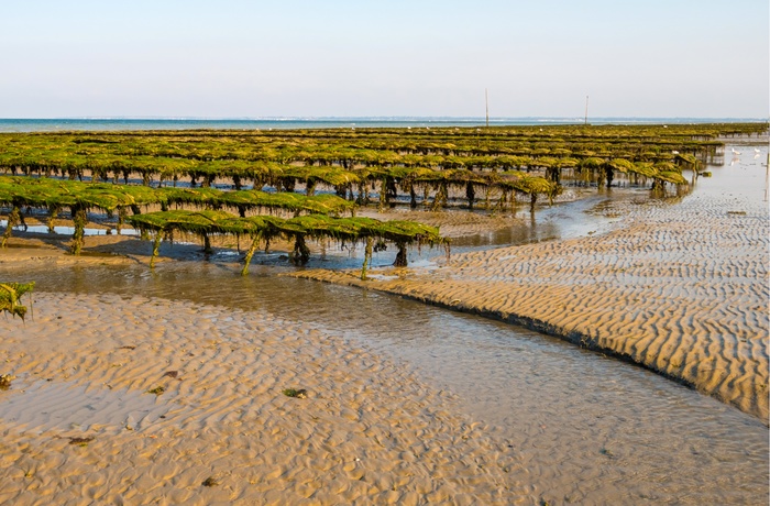 Østersfarm i Normandiet, Frankrig