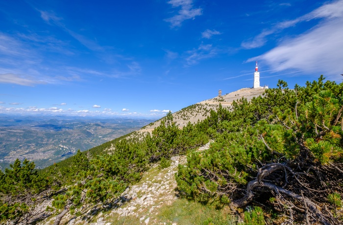 Bjerget Mont Ventoux i Provence, Frankrig