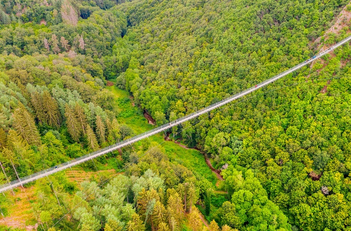 Geierlay Hängeseilbrücke tæt på Mosel