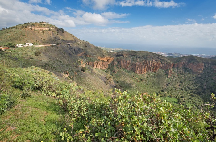 Vulkankrateret Caldera de Bandama på Gran Canaria, Spanien