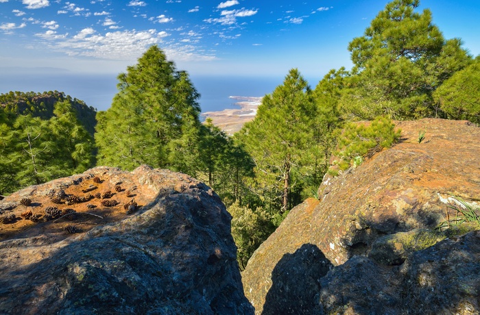 Tamadaba naturpark på Gran Canaria, Spanien