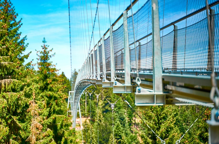 Hængebroen WildLine i Schwarzwald