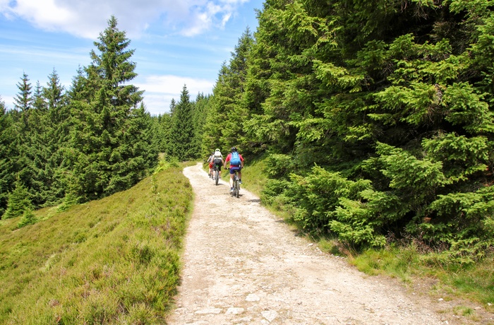 På mountainbike i Harzen, Tyskland