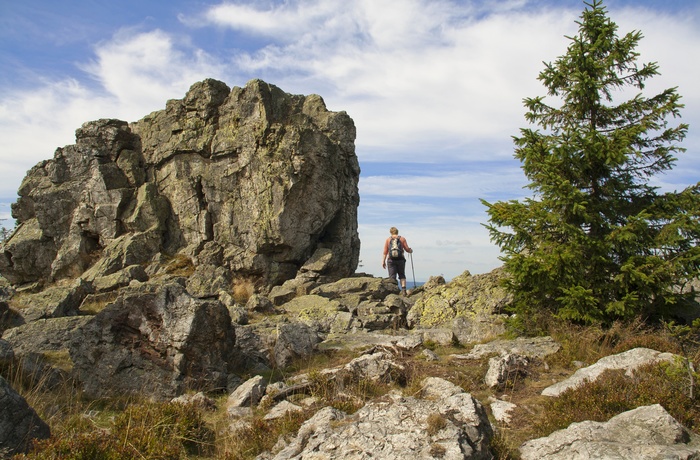 Vandretur i Harzen, Tyskland