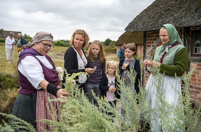 Hjerl Hede planter