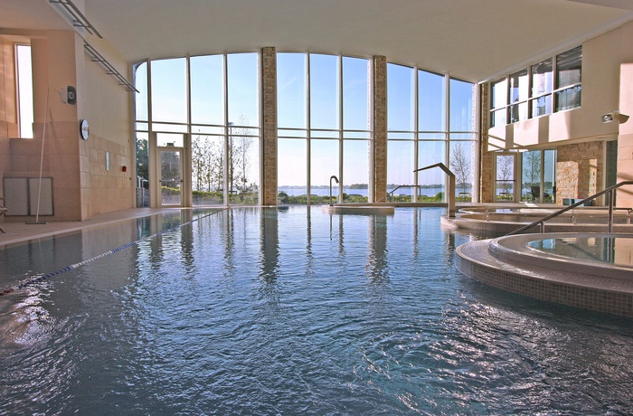 Hodson Bay Hotel i Athlone - Pool