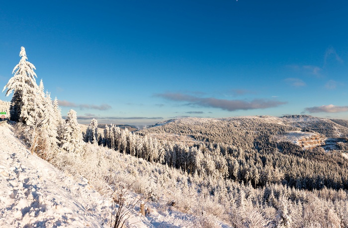 Hornisgrinde i Schwarzwald