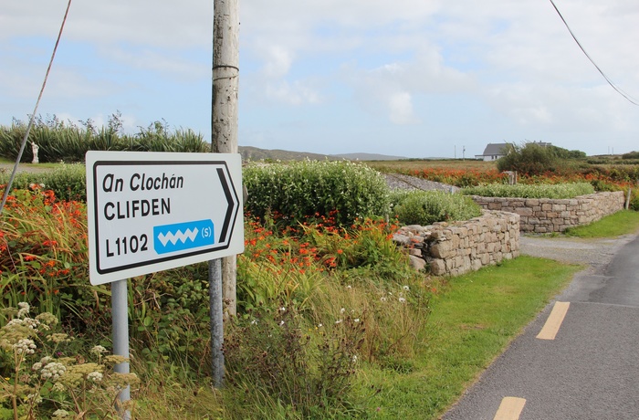 Irland, Clifden - vejskilt ved Wild Atlantic Way