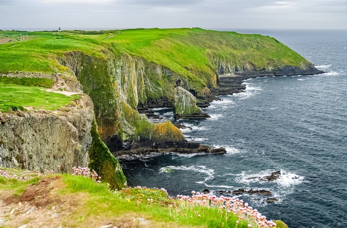 Irland, County Cork - Cliffs Old Head ved Kinsale