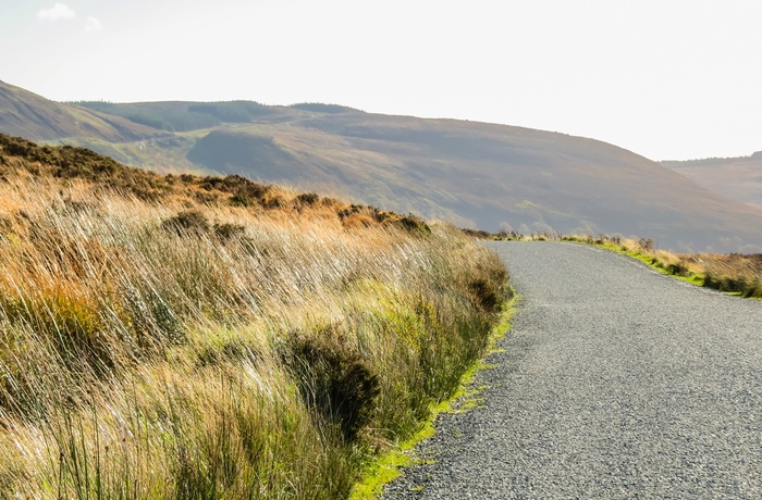 Irland, County Wicklow - den gamle Military Road gennem Wicklow Mountains National Park ved Sally Gab