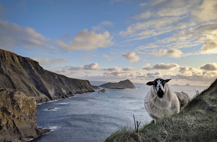 Irland, Ring of Kerry, Kerry Cliffs - udsigt mod Skellig Islands