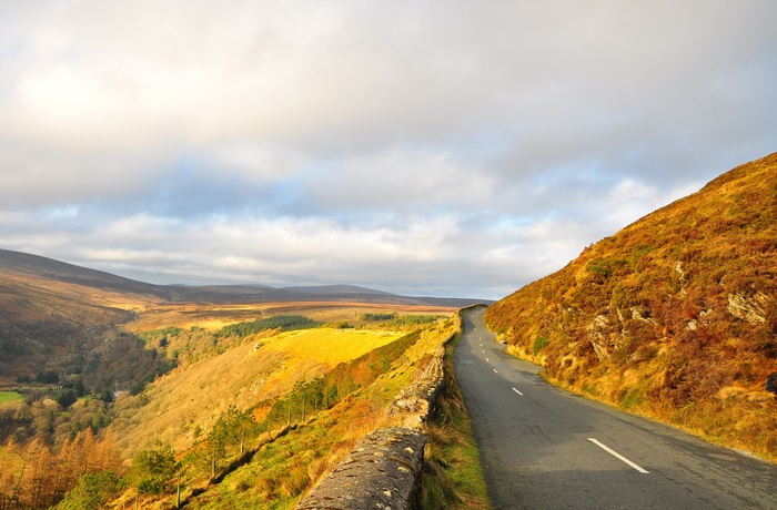 Vej gennem Wicklow bjergene om efteråret, Irland