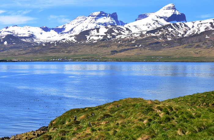 Borgarfjordur Eystri fjord i det østlige Island