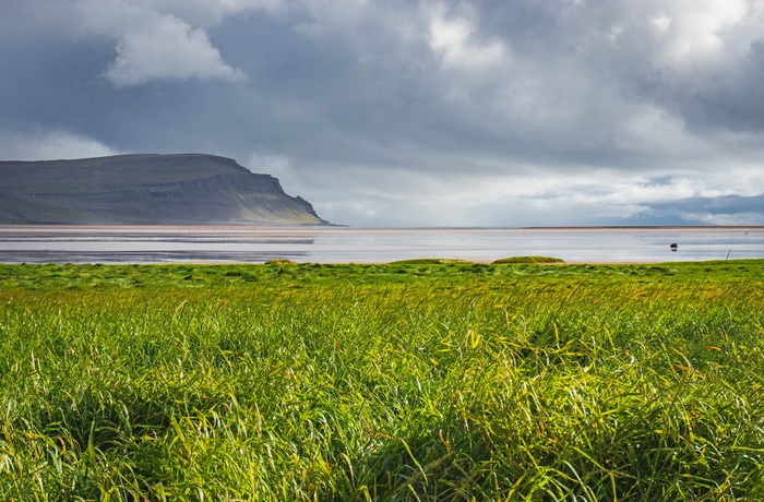 Rauðasandur Strand i Island