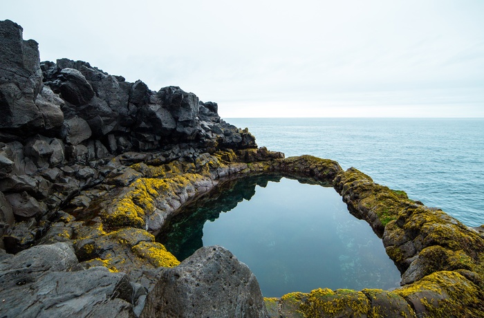 Lavastenspoolen Brimketill på Reykjanes halvøen, Island