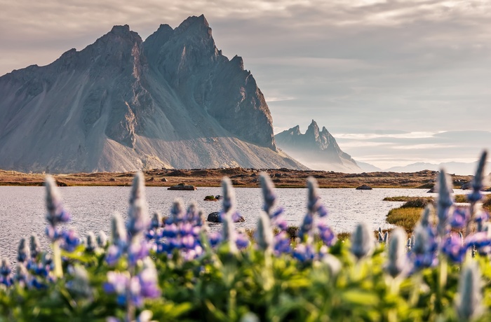 Udsigt til Vestrahorn bjerget på Stokksnes halvøen, Island