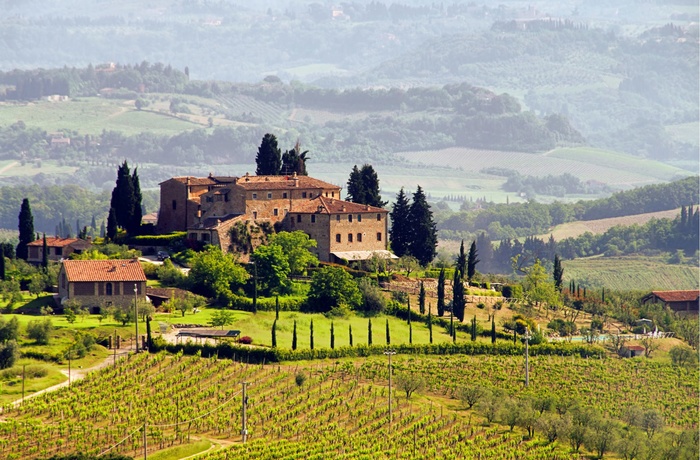 Vingård i Toscana