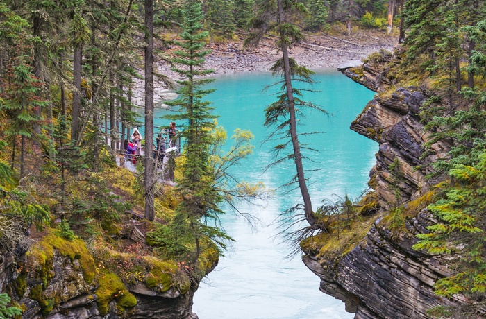 Maligne Canyon i Jasper National Park, Alberta i Canada