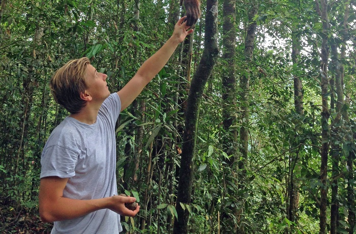 Jonas på Sumatra og hilser på en orangutan - rejsespecialist i Aalborg