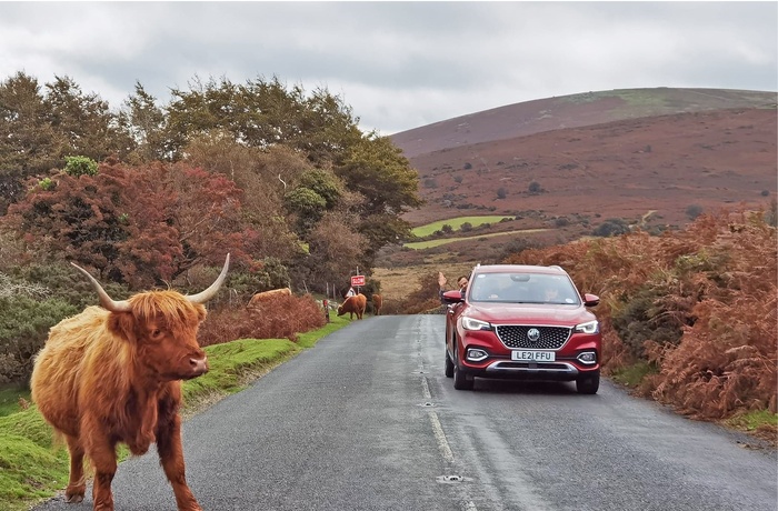 Kør-selv ferie i Sydengland når det er bedst, Dartmoor National Park i England