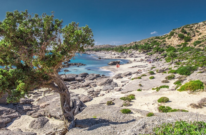 Kedrodasos naturstrand i det vestlige Kreta