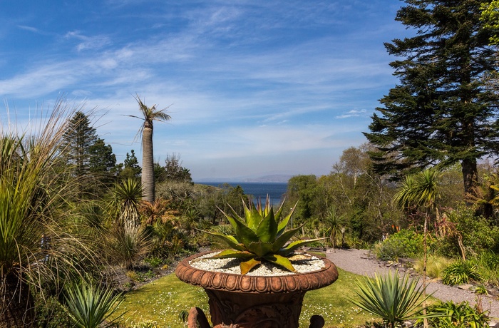 Kells Bay Gardens, Ring of Kerry, Irland - udsigt fra haven over bugten