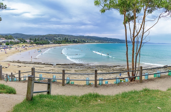 Udsigt til stranden i kystbyen Lorne i Victoria, Australien