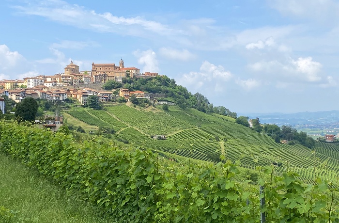 Udsigt til La Morra der er omgivet af vinmarker i Piemonte - Italien