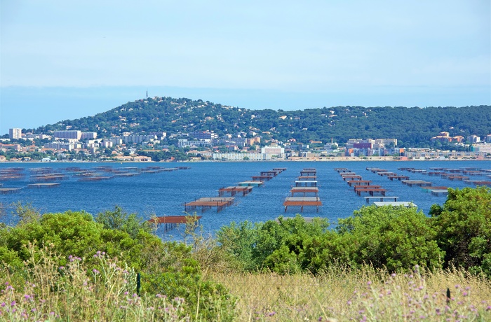 Udsigt til østersfarme, Thau Lagune i Languedoc-Roussillon, Frankrig