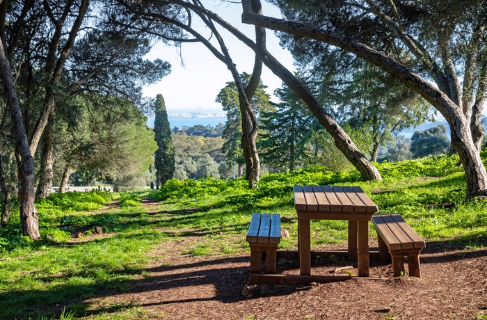 Udsigt til Lissabon fra Monsanto parken