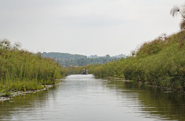 På bådtur med guide gennem Mabamba Swamp - Uganda