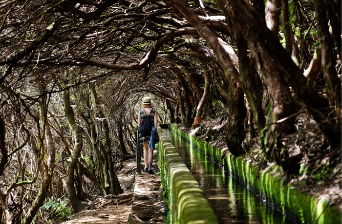 Levada på Madeira