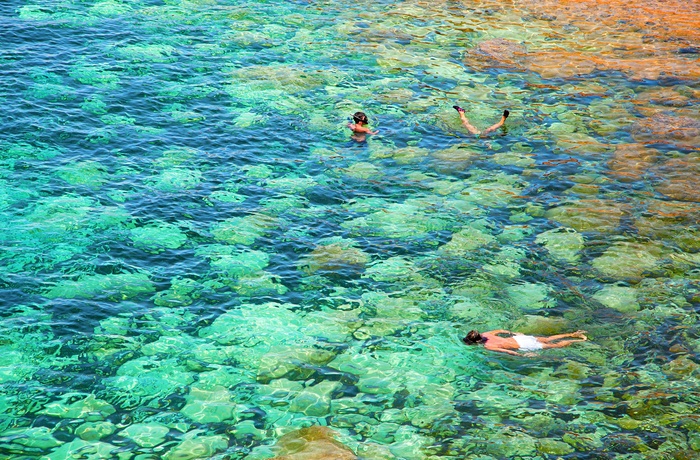 Snorkling tæt på kysten - Mallorca