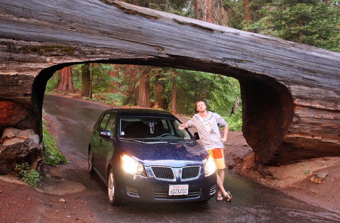 Martin Bo i Sequoia National Park - rejsespecialist i Vejle
