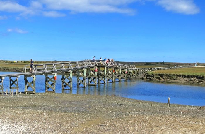 Træpromenade til stranden i byen Sandwich på Cape Cod, Massachusetts