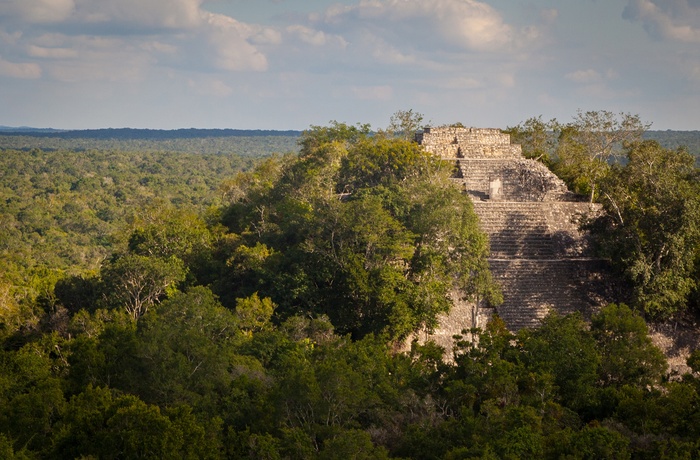 Mayaruiner i Calakmul ligger midt i junglen - Mexico