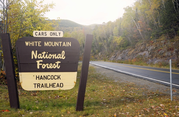 Vej gennem White Mountain National Forest, New Hampshire
