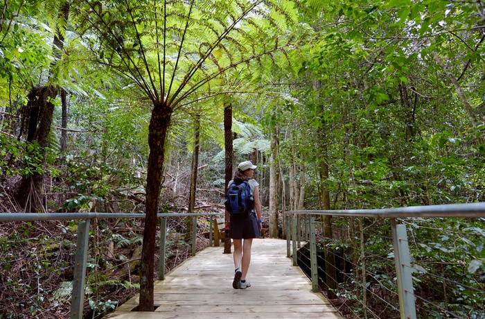 Vandreruten Scenic Walkway i Blue Mountains - New South Wales