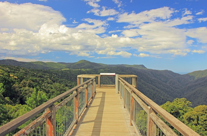 Skywalk i Dorrigo National Park - New South Wales