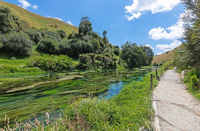 Blue Spring og Te Waihou Walkway - Nordøen i New Zealand