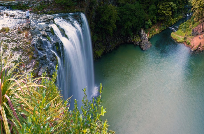 Vandfaldet Whangarei Falls på New Zealands Nordø