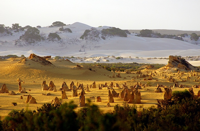 Nambung National Park og The Pinnacle nær Cervantes - Western Australia