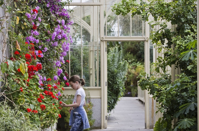 National Botanic Garden, Glasnevin