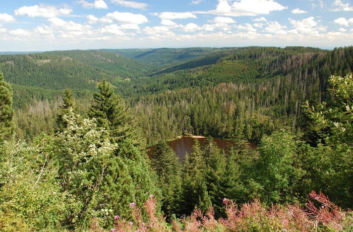 Nationalpark Schwarzwald. Udsigt over Wildersee © Charly Ebel