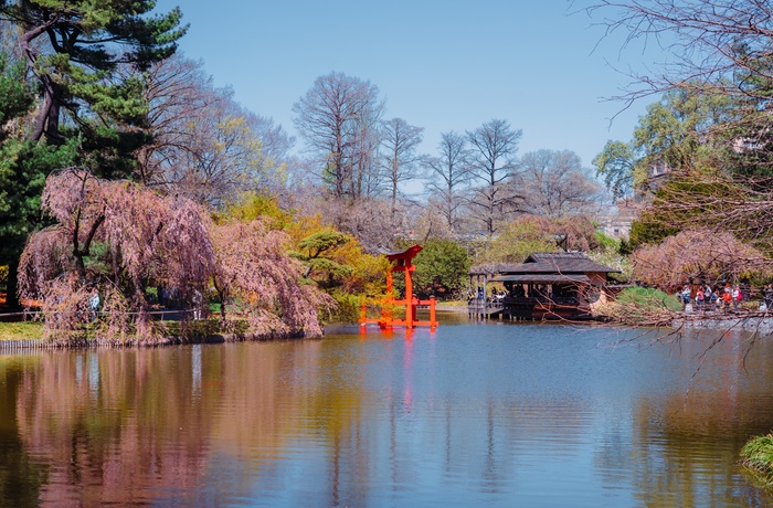 Den botaniske have i Brooklyn, New York