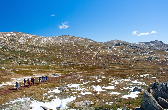 På vandring mod Mount Mount Kosciuszko i Snowy Mountains, New South Wales i Australien