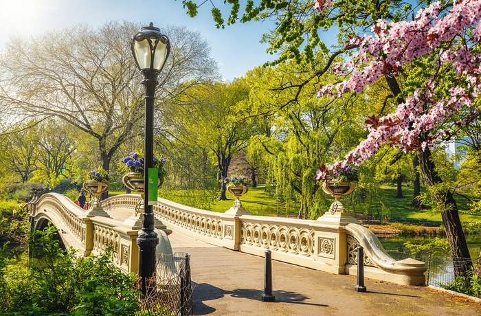 Central Park om foråret, New York
