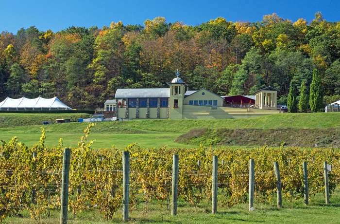 Vingård i vindistriket i Finger Lakes regionen - New York State i USA