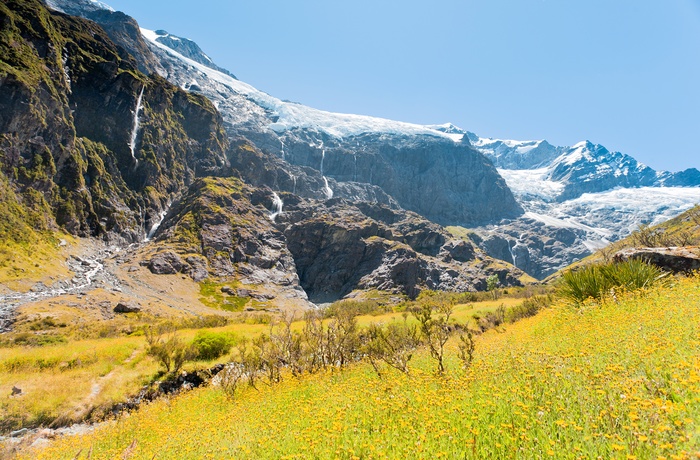New Zealand Mount Aspiring National Park Rob Roy Glacier